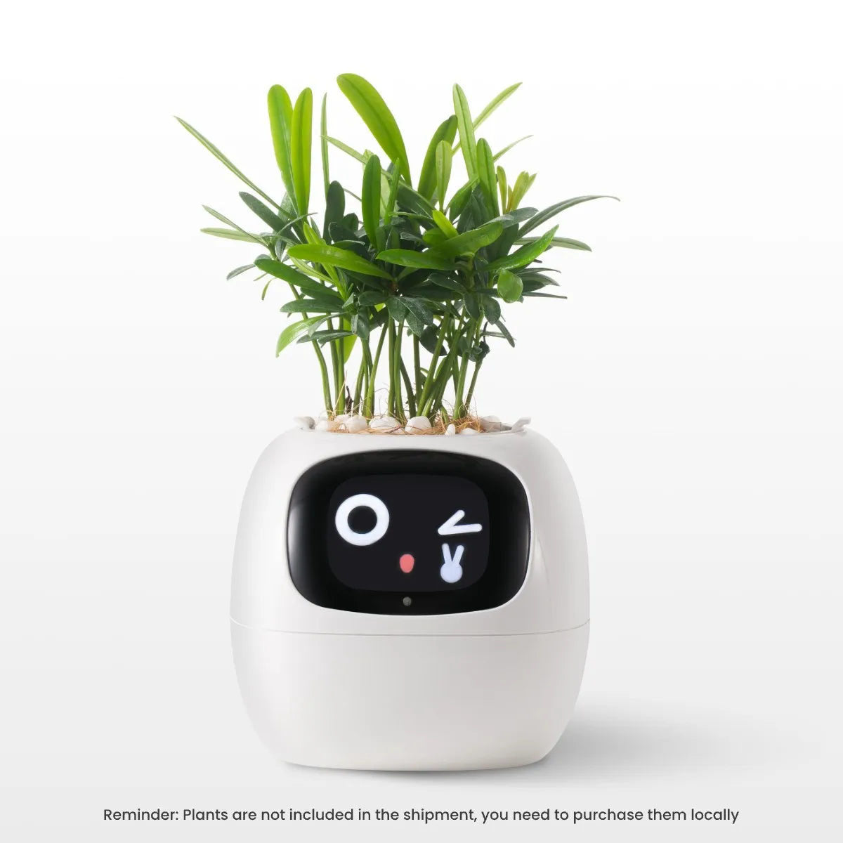 AI Smart Planter